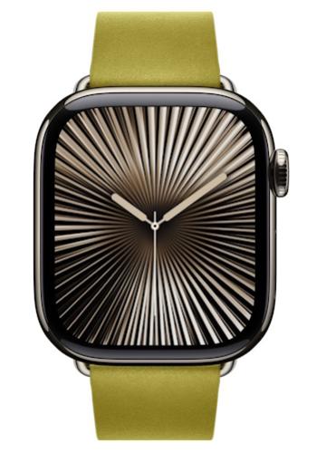 APPLE Remienok 42mm Chartreuse Modern Buckle - L