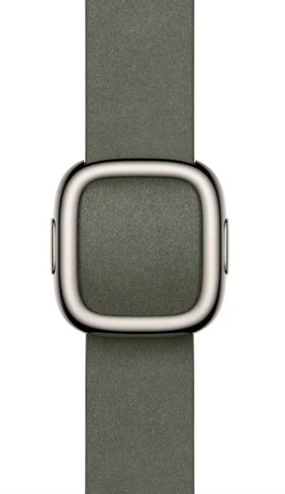 APPLE Remienok 42mm Sage Gray Modern Buckle - L