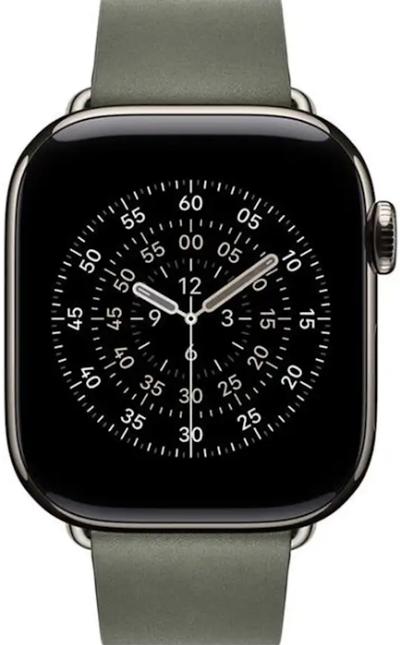 APPLE Remienok 42mm Sage Gray Modern Buckle - L